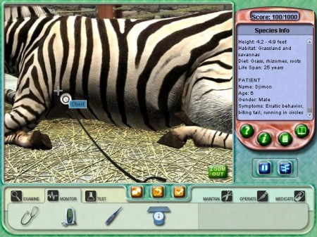 ZebraStetoscope