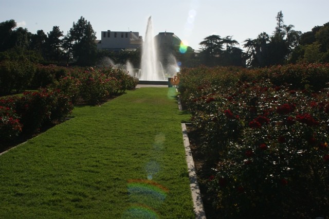 DSC01300sm