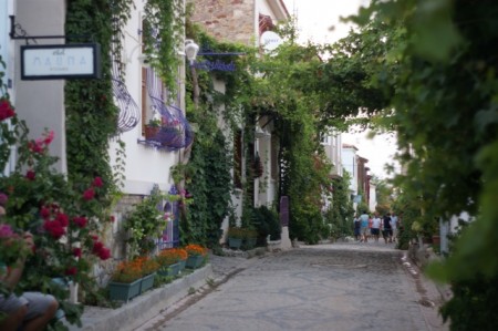 DSC02483