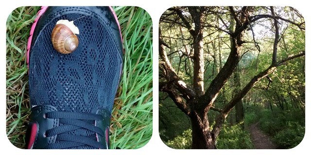PicMonkey Collage