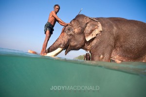 man-stands-on-tusks-of-elephan
