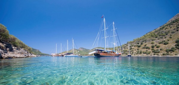 turkey