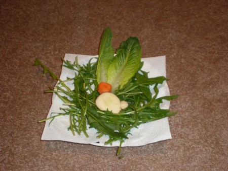 Salatek