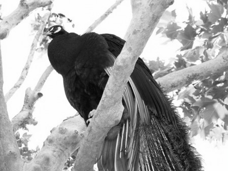 100_0153sm.JPG