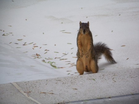 100_0325sm.JPG