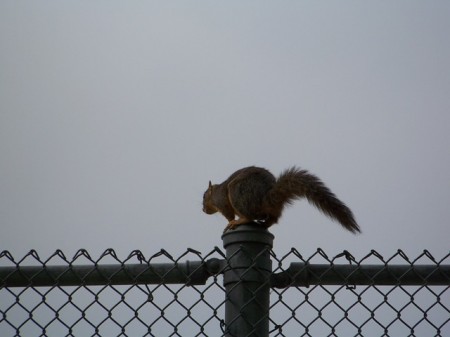 100_0324sm.JPG