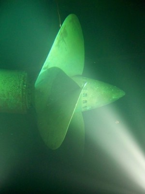 FILE0108.JPG