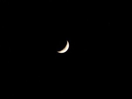 100_0686sm.JPG